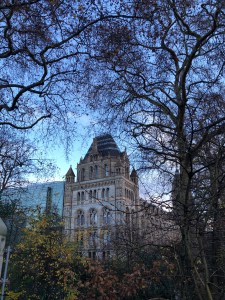 91BE45EF-49F2-4B9E-97BE-2CFDDA7AFCAE